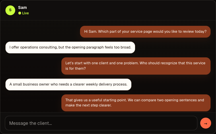 Current Ownlybiz expert chat workspace with a fictional client conversation and sample session controls.