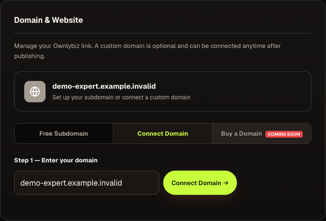 Current Ownlybiz expert Domain & Website settings with a reserved example domain in the unsubmitted Connect Domain field.